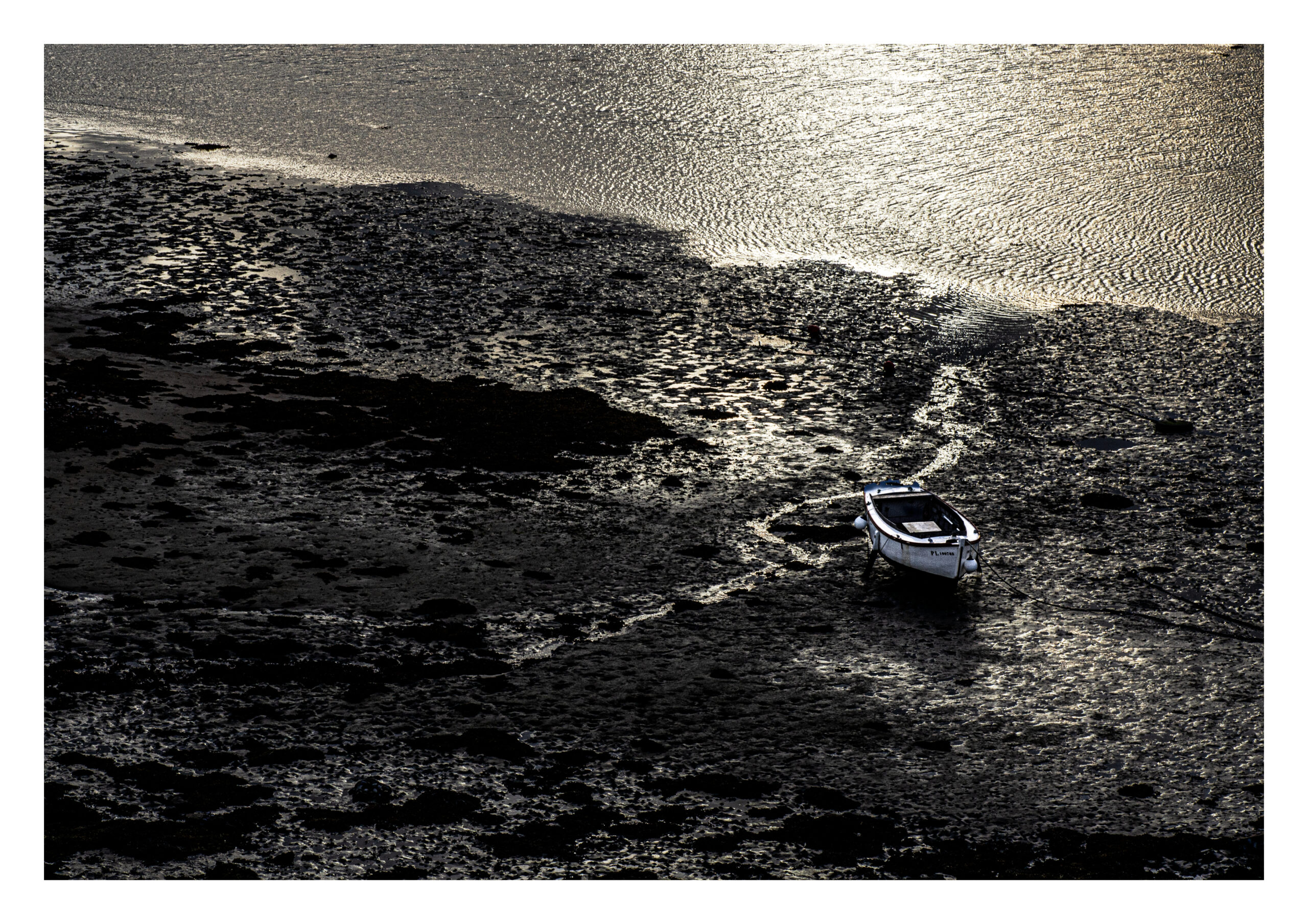 @ Xavier Monot - Graphic designer -